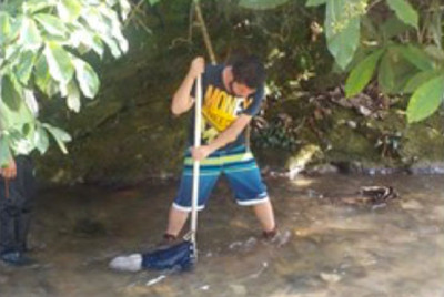 Picture