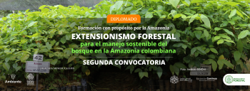 Instituto SINCHI y Pontificia Universidad Javeriana abren segunda convocatoria al Diplomado en Extensionismo Forestal en la Amazonia colombiana