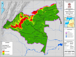 Incendios forestales amenazan los “ríos voladores” y el equilibrio climático en la Amazonia