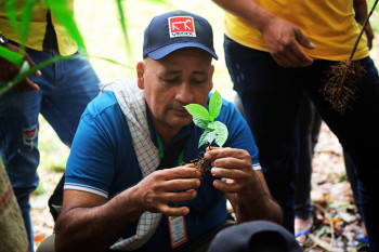 Más de 4.000 familias campesinas avanzan en la restauración de 12.000 hectáreas de bosques en Caquetá