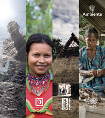Instituto SINCHI participa en FIMA 2026 con agenda académica, ciencia amazónica y una experiencia conjunta sobre biodiversidad