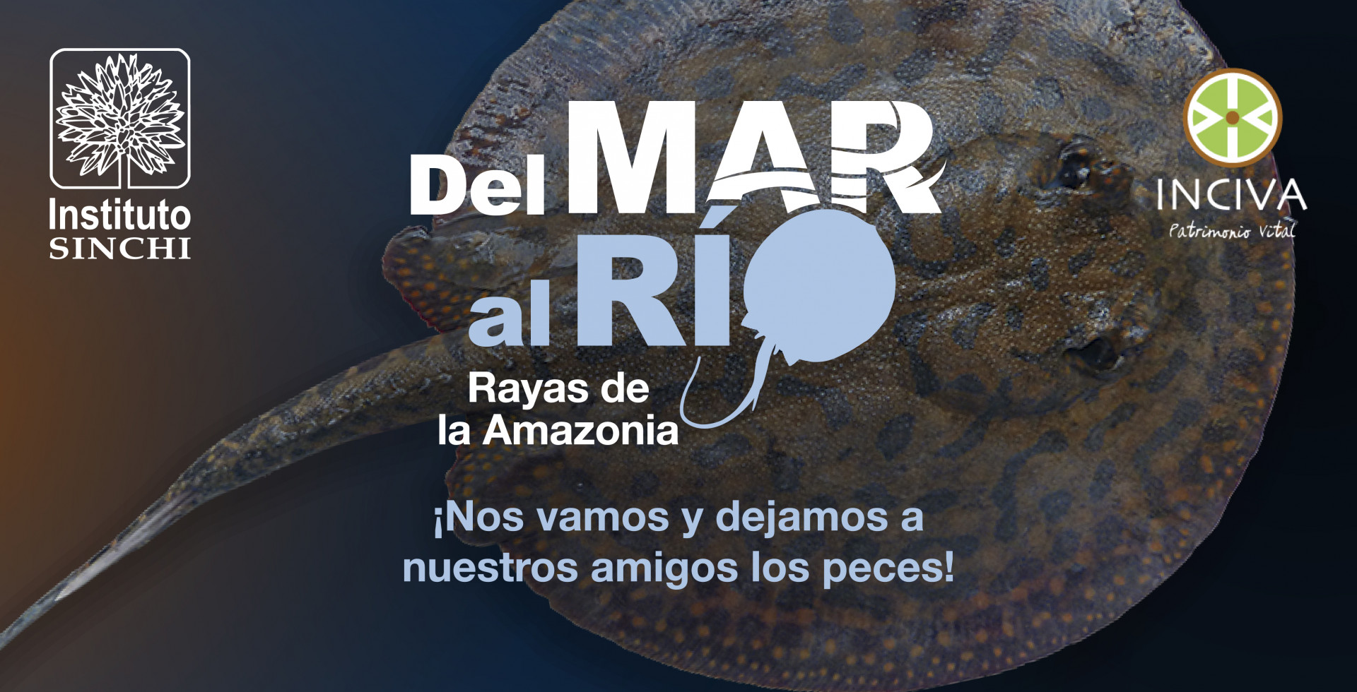 Visita del mar al rio