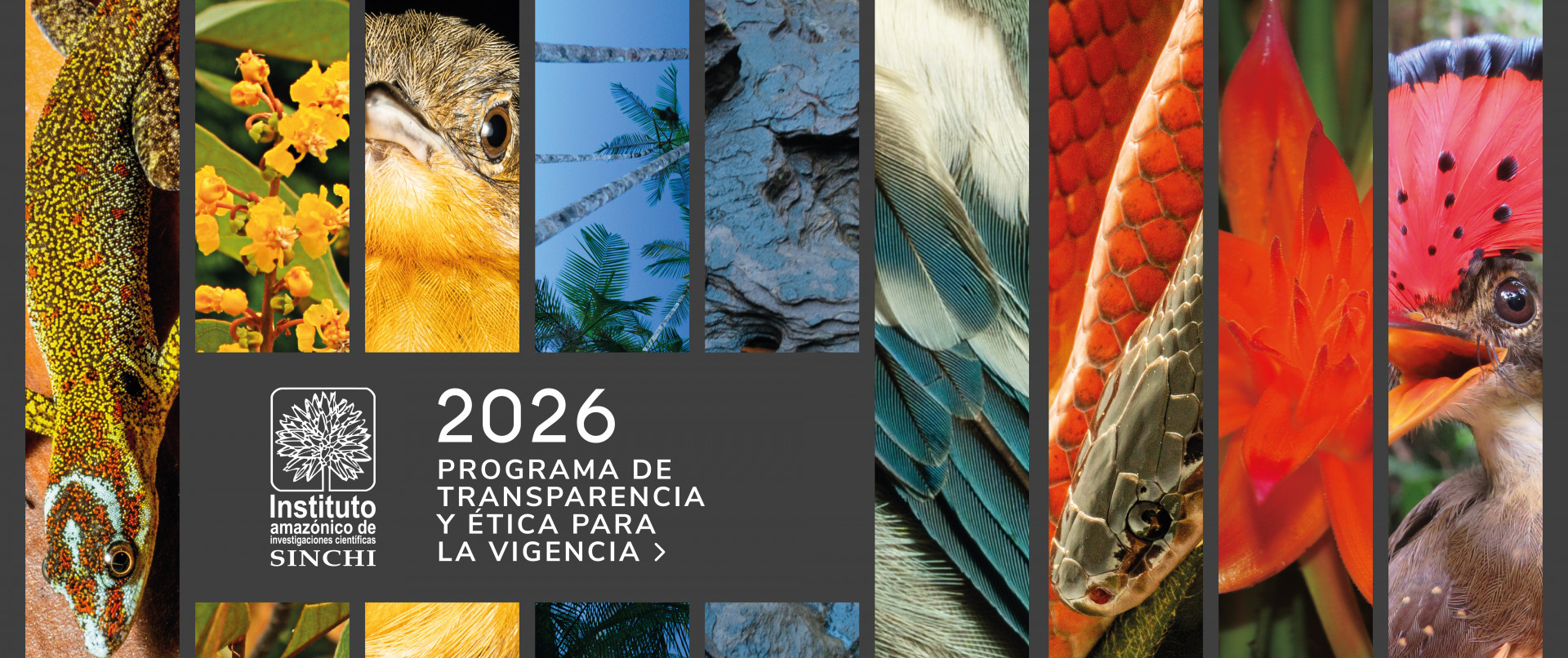 Visita Programa Transparencia