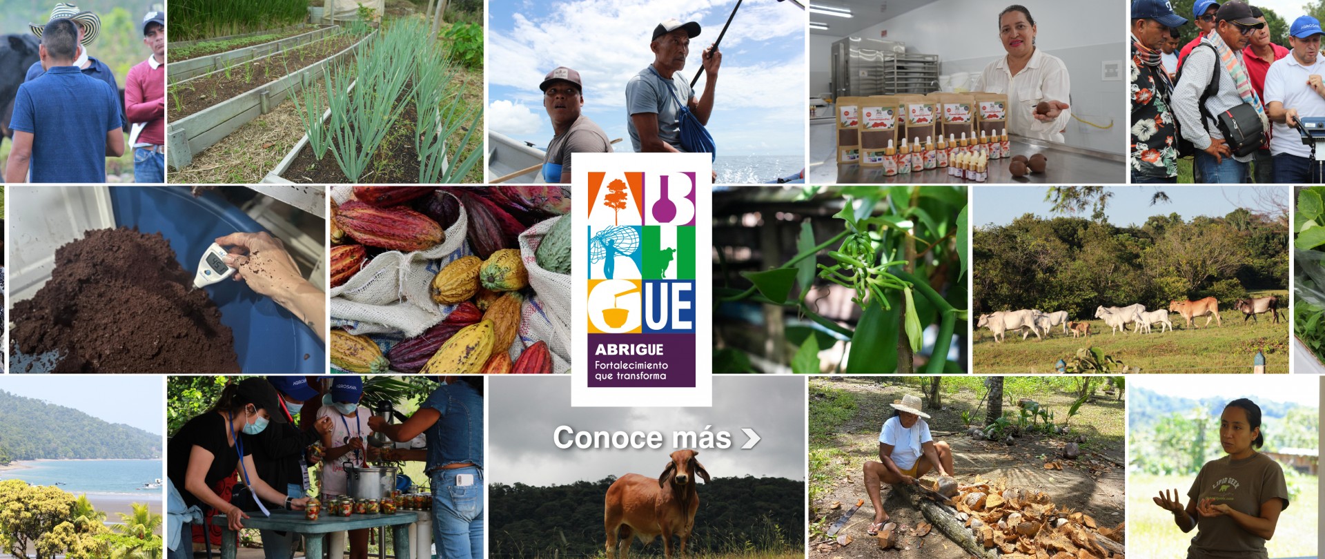 Visita Abrigue