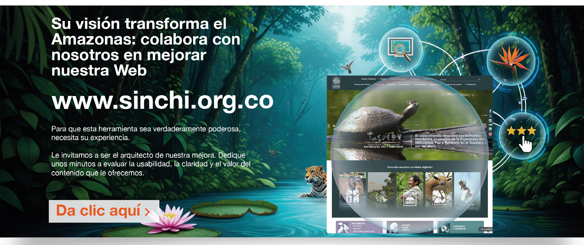 Visita evaluacion web 