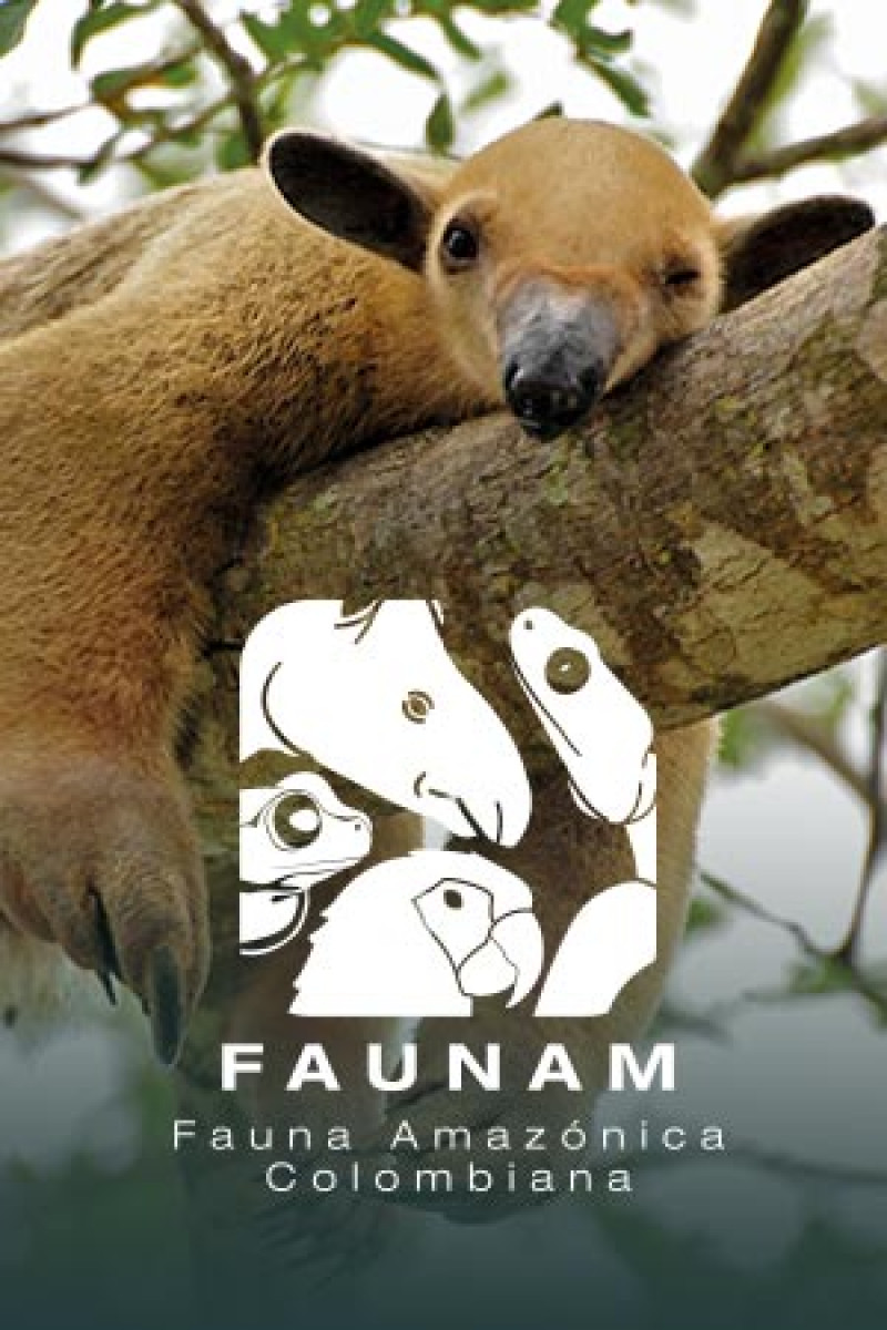 Conoce boton-faunam